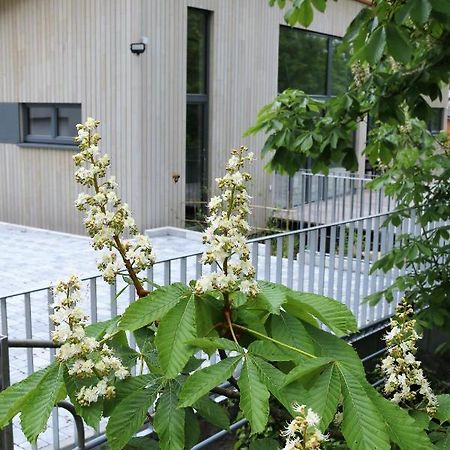 Apartamento Klemmbachidyll Badenweiler Exterior foto